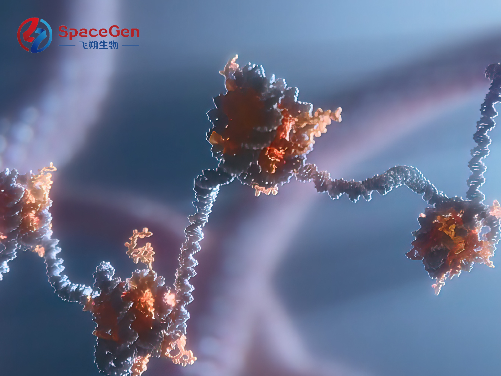 China's First Estrogen Receptor 1 (ESR1) Inhibitor Indicated for Breast Cancer Obtains Marketing Authorization