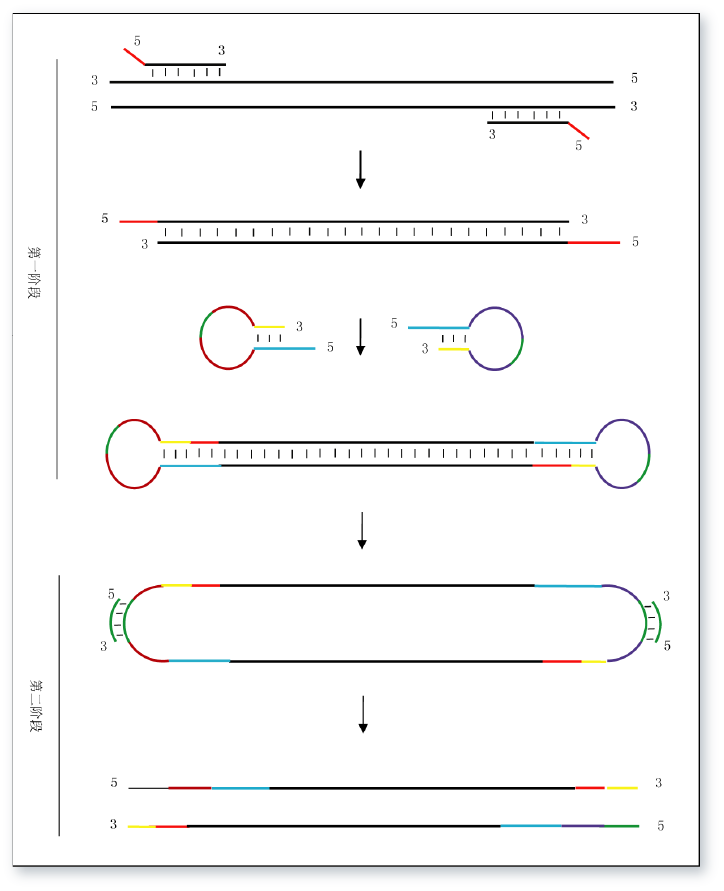 資源 2@2x.png